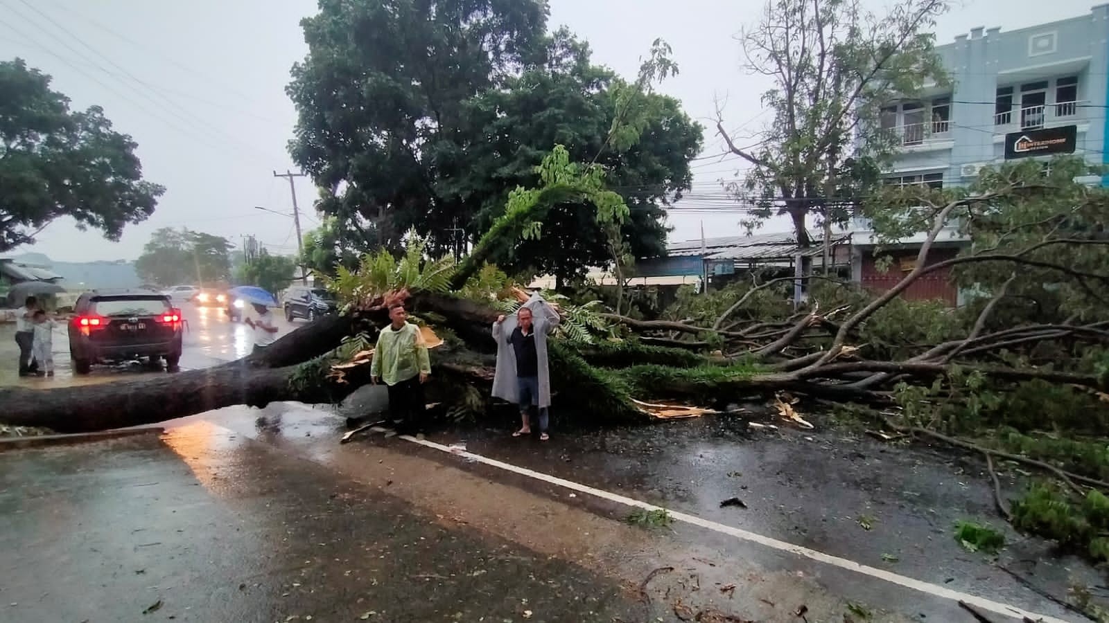 Sigap dan Tanggap! Babinsa Jagabaya III Sertu Sugiyanto Pimpin Evakuasi Pohon Tumbang di Depan Kantor Bawaslu Lampung