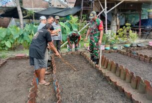 Sukseskan Program Ketahanan Pangan, Kodim 0735/Surakarta Gandeng Kelompok Tani Sumber Berkah Siapkan Lahan Dan Penyemaian Bibit Sayuran