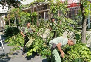 Babinsa Banyuanyar Bersama Linmas Laksanakan Kerja Bakti Perempelan Dahan Dan Ranting Pohon