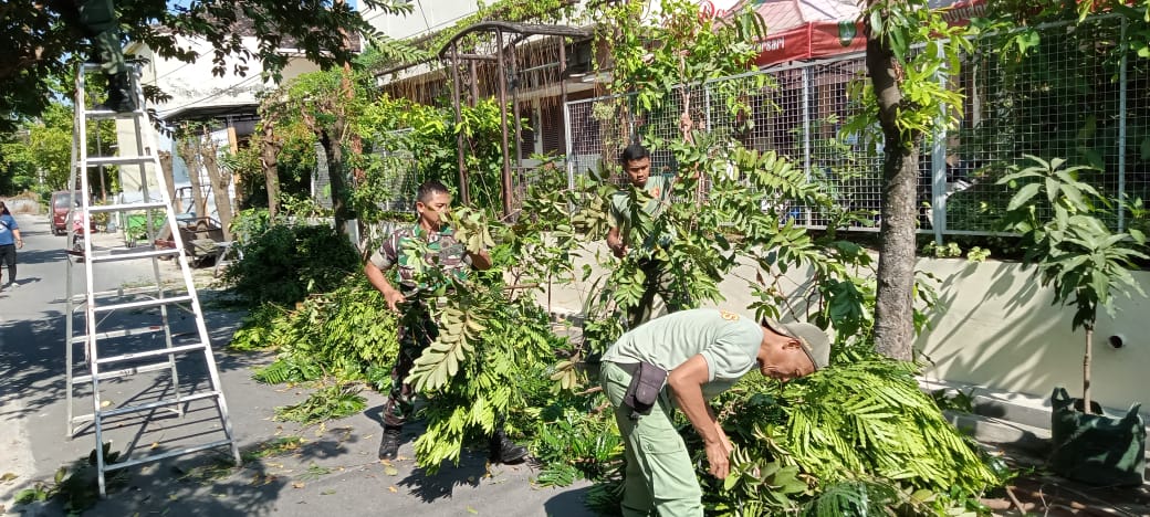 Babinsa Banyuanyar Bersama Linmas Laksanakan Kerja Bakti Perempelan Dahan Dan Ranting Pohon