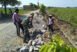 Babinsa Ngemplak Dan Warga Bangun Talud di Persawahan Desa Dibal