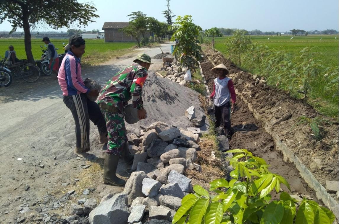 Babinsa Ngemplak Dan Warga Bangun Talud di Persawahan Desa Dibal