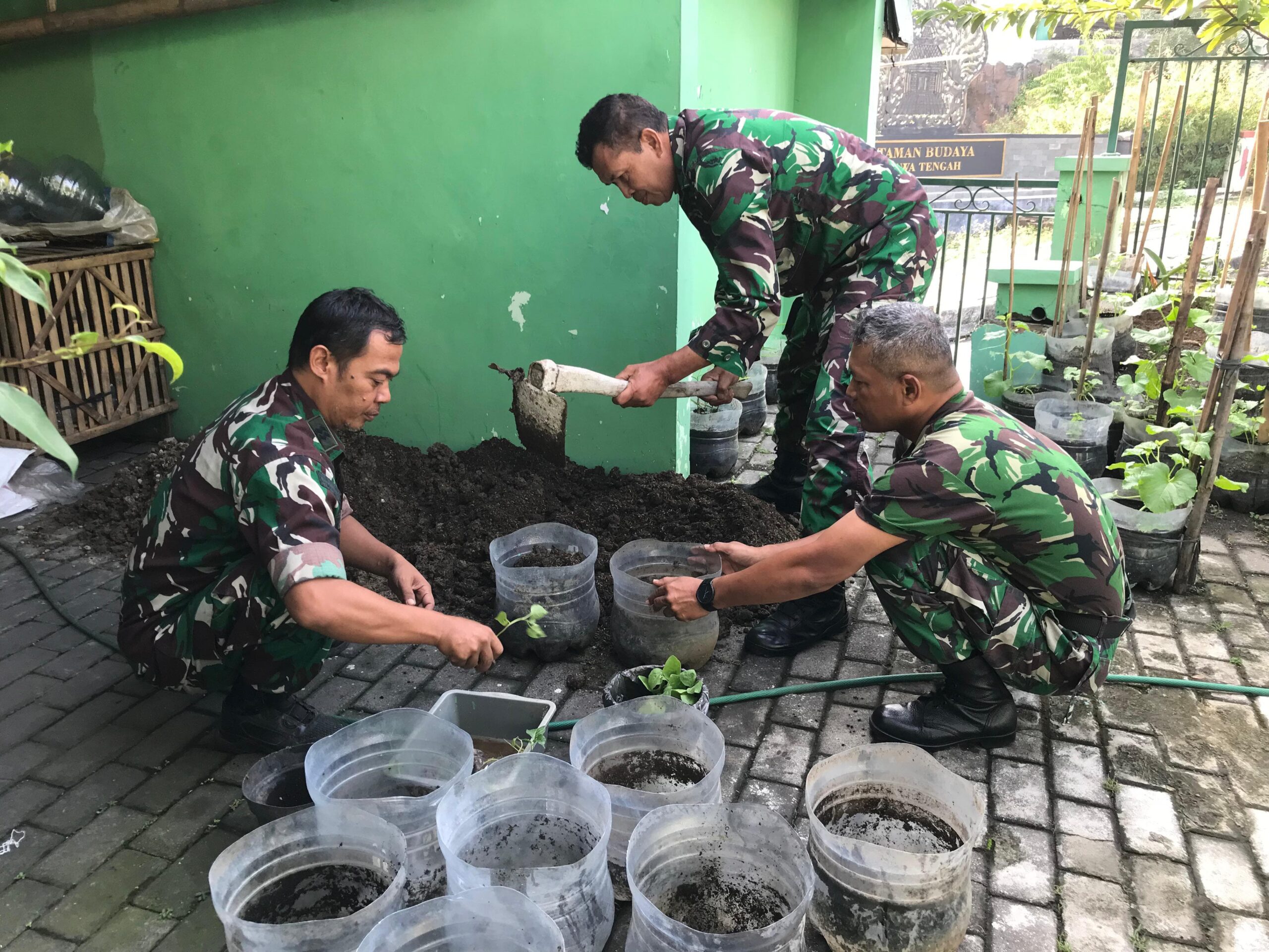 Dukung Swasembada Pangan, Danramil 04/Jebres Bersama Anggotanya Tanam Bibit Buah Dan Tanaman Herbal