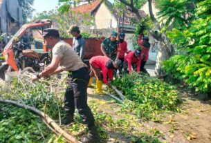 Cegah Terjadinya Musibah, Babinsa Purwosari Bersama Tim Saberling Laksanakan Pemangkasan Cabang Pohon.