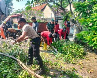 Cegah Terjadinya Musibah, Babinsa Purwosari Bersama Tim Saberling Laksanakan Pemangkasan Cabang Pohon.