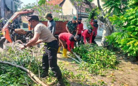 Cegah Terjadinya Musibah, Babinsa Purwosari Bersama Tim Saberling Laksanakan Pemangkasan Cabang Pohon.