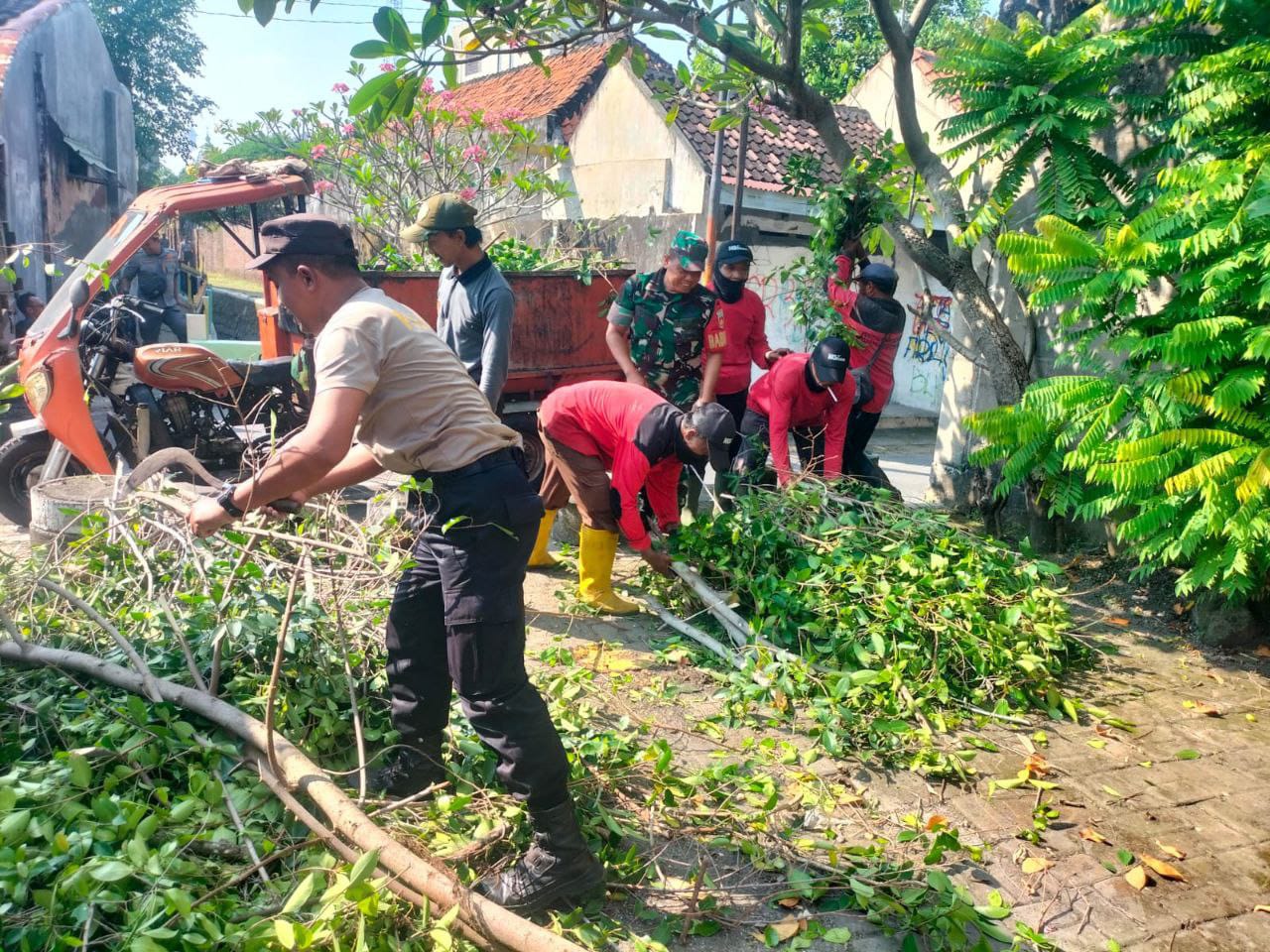 Cegah Terjadinya Musibah, Babinsa Purwosari Bersama Tim Saberling Laksanakan Pemangkasan Cabang Pohon.