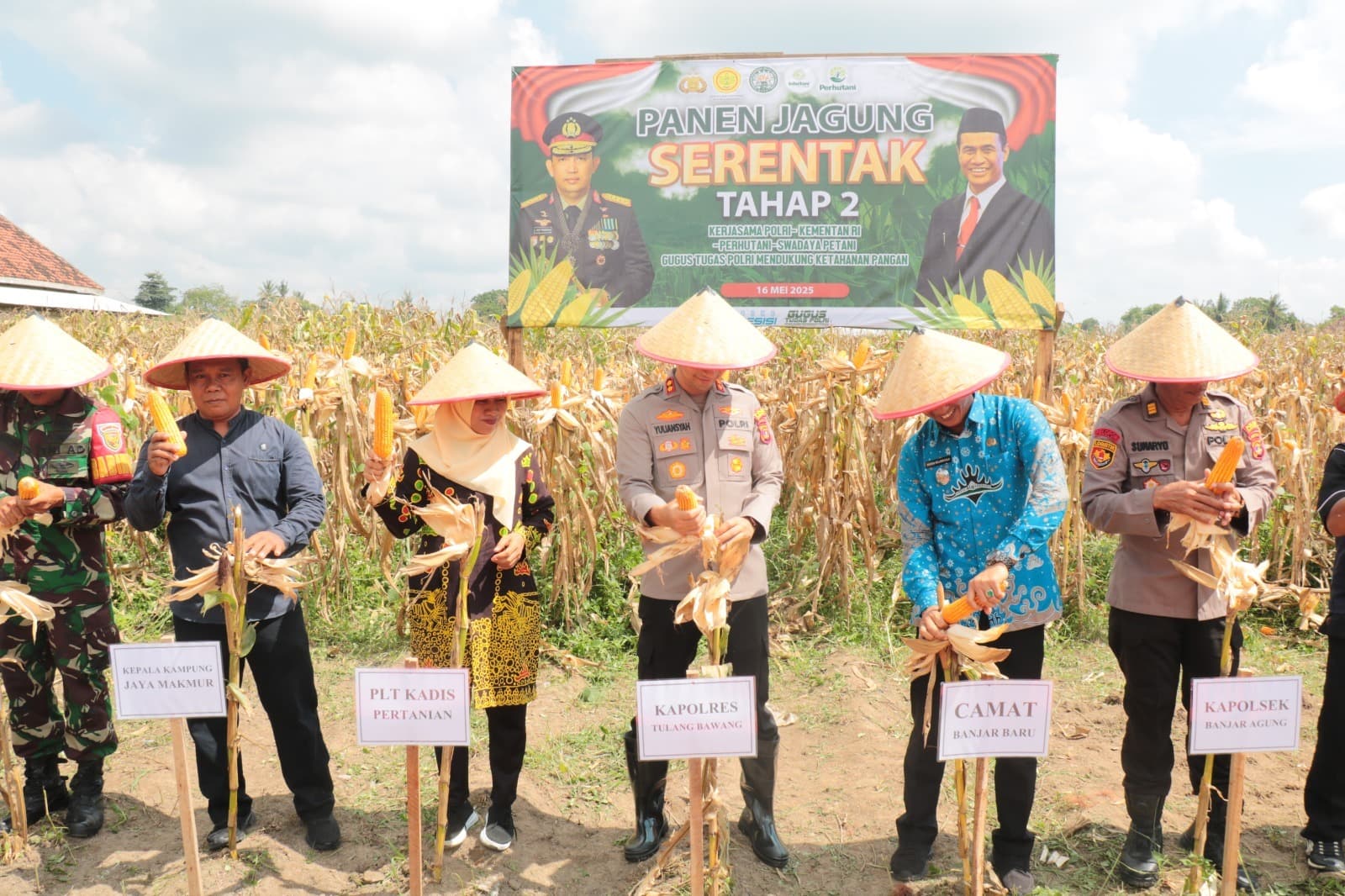 Kapolres Tulang Bawang Hadiri Panen Jagung Serentak Tahap 2, Berikut Lokasi dan Hasilnya