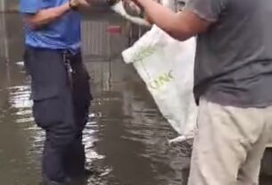 Warga Panik! Ular Piton Mangsa 2 Ayam di Tengah Banjir Pasar Krui