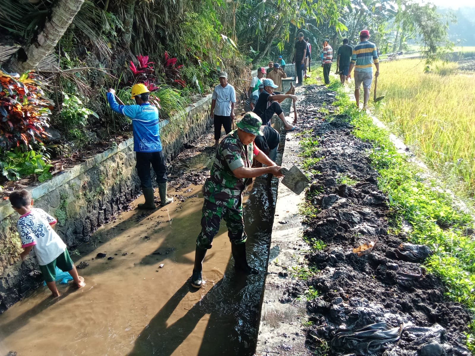Saluran Irigasi Lancar Panen Petani Jadi Maksimal