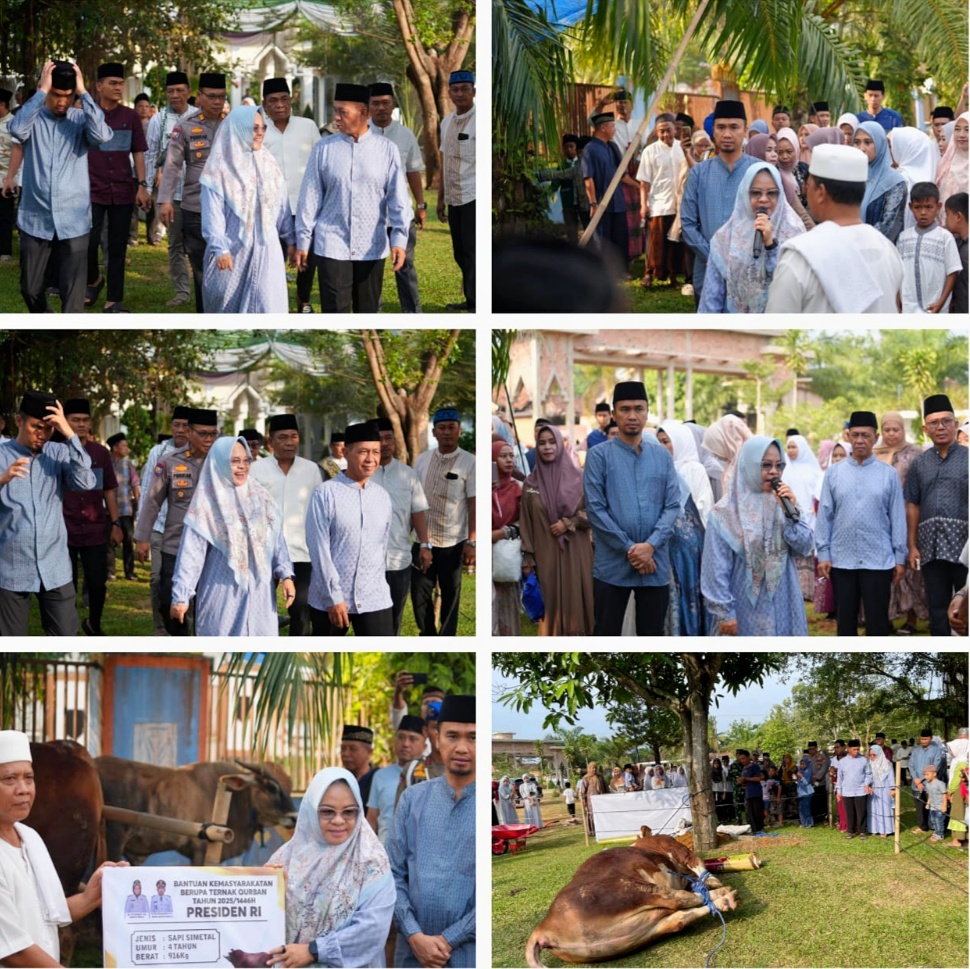 Bupati Mesuji Serahkan Sapi Kurban Bantuan Presiden di Hari Raya Idul Adha