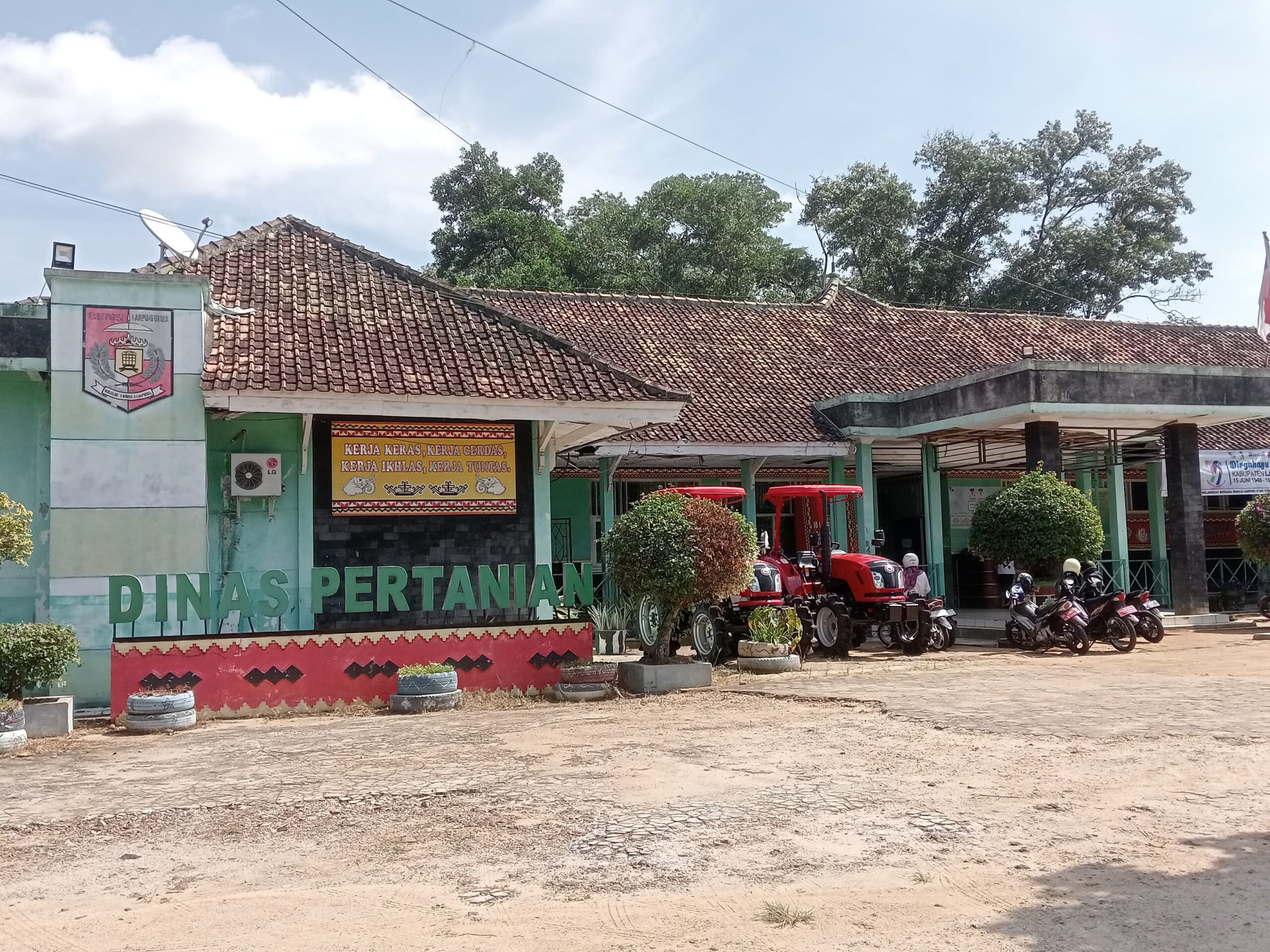 Sapi Bantuan Pemerintah Dijual, Pejabat Bungkam