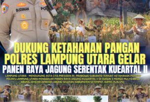 Dukung Ketahanan Pangan, Polres Lampura gelar Panen Raya Jagung