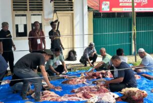 Idui Adha, UMKO sembelih 3 ekor Sapi dan 2 ekor kambing hewan Qurban