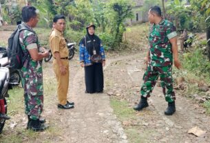 Babinsa Bantu Panen, Percepat Penyerapan Gabah di Desa Mojorejo